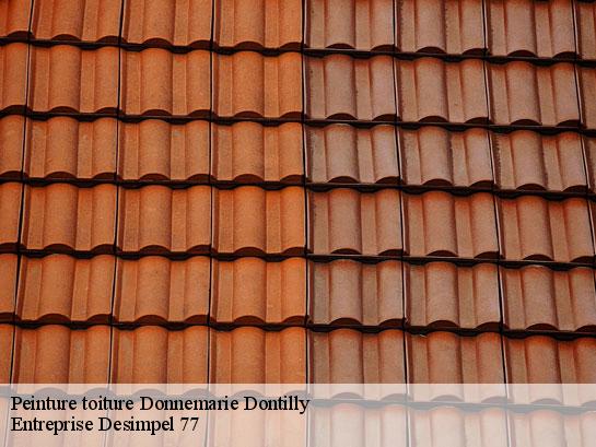 Peinture toiture  donnemarie-dontilly-77520 Entreprise Desimpel 77
