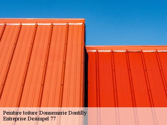 Peinture toiture  donnemarie-dontilly-77520 Entreprise Desimpel 77