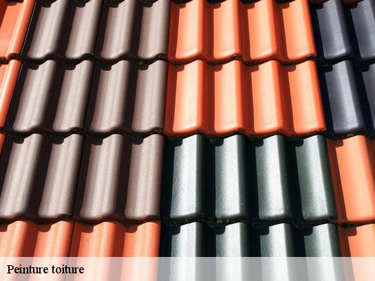 Peinture toiture  donnemarie-dontilly-77520 Entreprise Desimpel 77