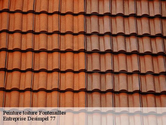 Peinture toiture  fontenailles-77370 Entreprise Desimpel 77