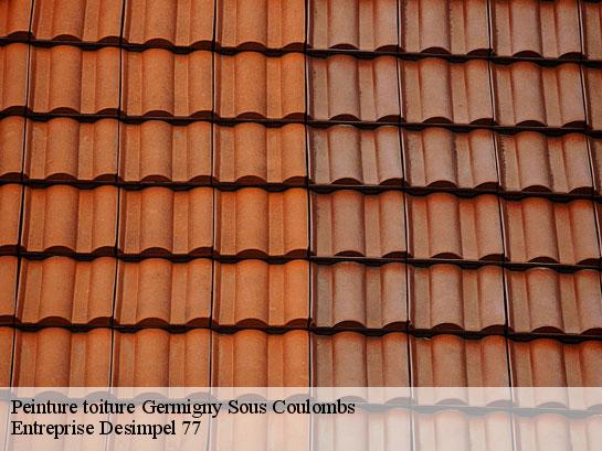 Peinture toiture  germigny-sous-coulombs-77840 Entreprise Desimpel 77