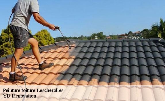 Peinture toiture  lescherolles-77320 YD Rénovation