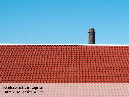 Peinture toiture  lognes-77185 Entreprise Desimpel 77