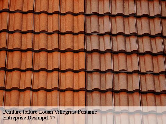 Peinture toiture  louan-villegruis-fontaine-77560 Entreprise Desimpel 77