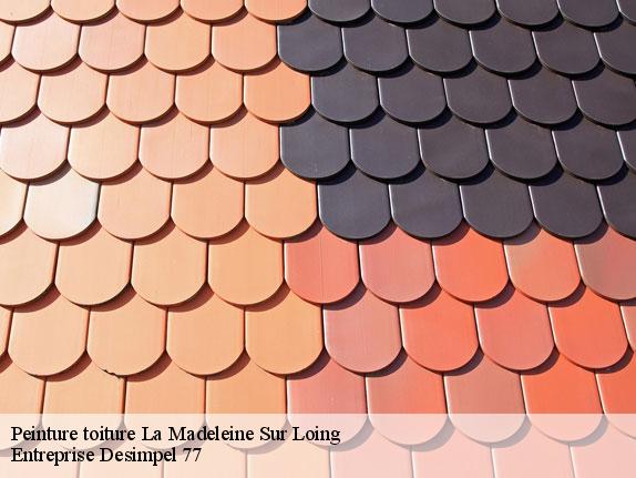 Peinture toiture  la-madeleine-sur-loing-77570 Entreprise Desimpel 77