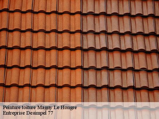 Peinture toiture  magny-le-hongre-77700 Entreprise Desimpel 77