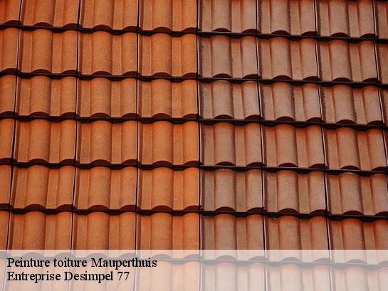 Peinture toiture  mauperthuis-77120 Entreprise Desimpel 77