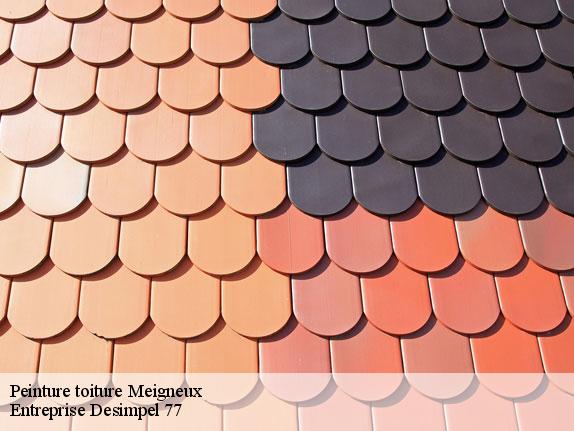Peinture toiture  meigneux-77520 Entreprise Desimpel 77