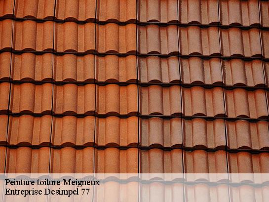Peinture toiture  meigneux-77520 Entreprise Desimpel 77
