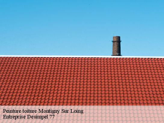 Peinture toiture  montigny-sur-loing-77690 Entreprise Desimpel 77
