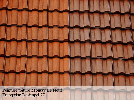 Peinture toiture  moussy-le-neuf-77230 Entreprise Desimpel 77