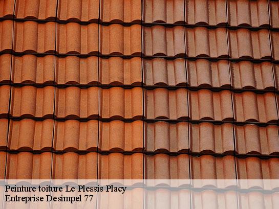 Peinture toiture  le-plessis-placy-77440 Entreprise Desimpel 77