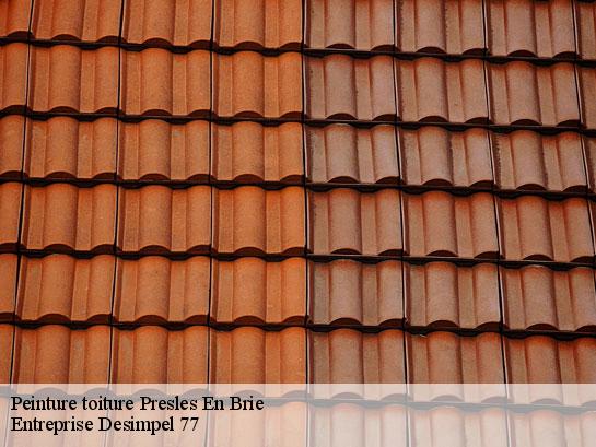 Peinture toiture  presles-en-brie-77220 Entreprise Desimpel 77