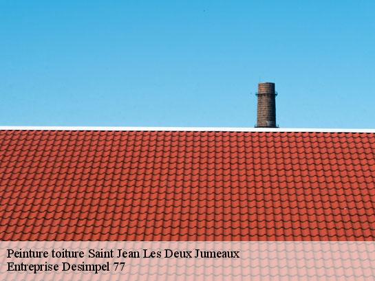 Peinture toiture  saint-jean-les-deux-jumeaux-77660 Entreprise Desimpel 77