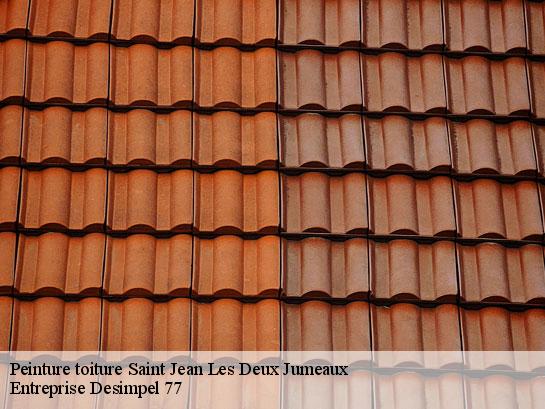 Peinture toiture  saint-jean-les-deux-jumeaux-77660 Entreprise Desimpel 77