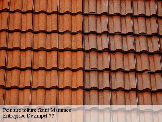 Peinture toiture  saint-mammes-77670 Entreprise Desimpel 77