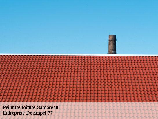 Peinture toiture  samoreau-77210 Entreprise Desimpel 77