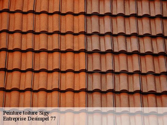 Peinture toiture  sigy-77520 Entreprise Desimpel 77