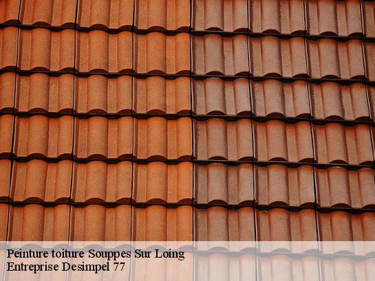 Peinture toiture  souppes-sur-loing-77460 Entreprise Desimpel 77