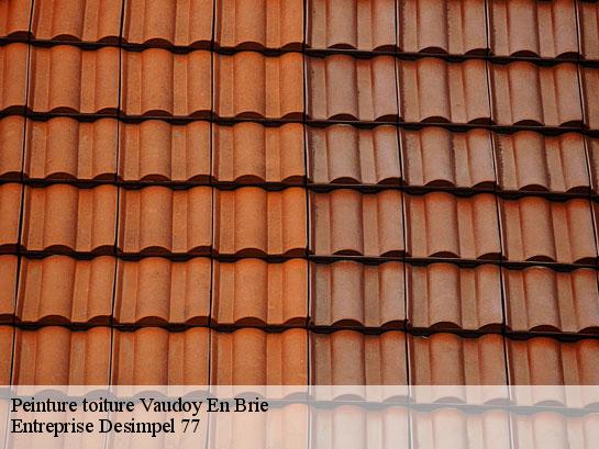 Peinture toiture  vaudoy-en-brie-77141 Entreprise Desimpel 77