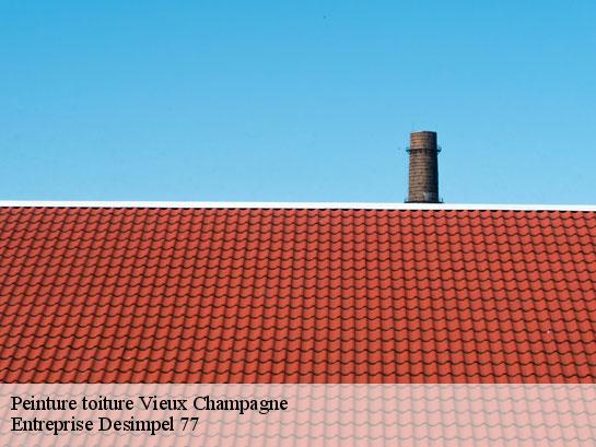 Peinture toiture  vieux-champagne-77370 Entreprise Desimpel 77