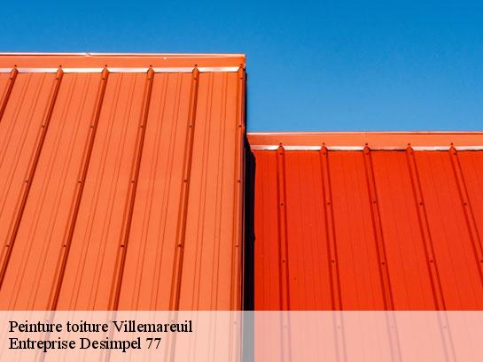Peinture toiture  villemareuil-77470 Entreprise Desimpel 77