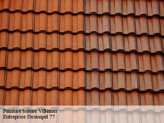 Peinture toiture  villemer-77250 Entreprise Desimpel 77