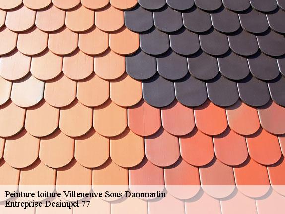 Peinture toiture  villeneuve-sous-dammartin-77230 Entreprise Desimpel 77