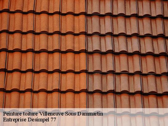 Peinture toiture  villeneuve-sous-dammartin-77230 Entreprise Desimpel 77