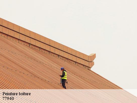Peinture toiture  voulx-77940 Entreprise Desimpel 77