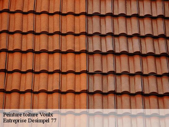 Peinture toiture  voulx-77940 Entreprise Desimpel 77