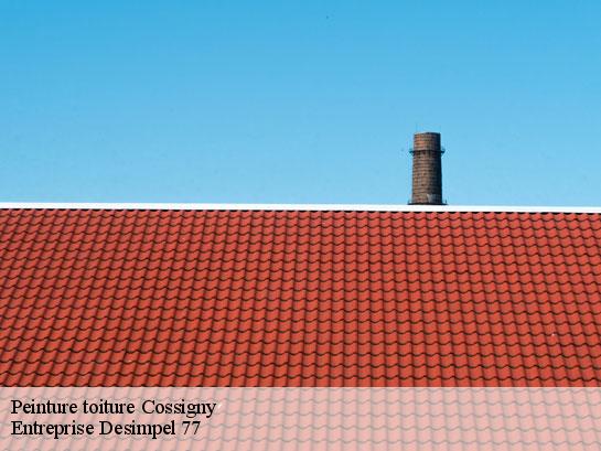 Peinture toiture  cossigny-77173 Entreprise Desimpel 77