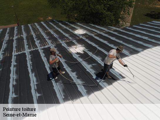 Peinture toiture   Entreprise Desimpel 77