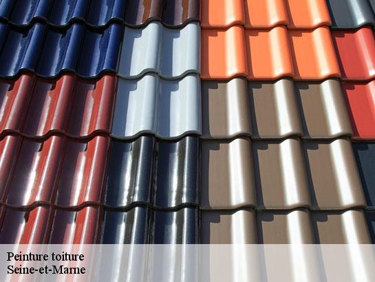 Peinture toiture   Entreprise Desimpel 77