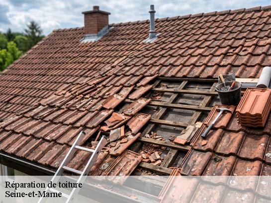 Réparation de toiture 77 Seine-et-Marne  Entreprise Desimpel 77