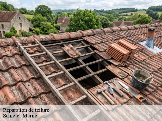 Réparation de toiture 77 Seine-et-Marne  Entreprise Desimpel 77