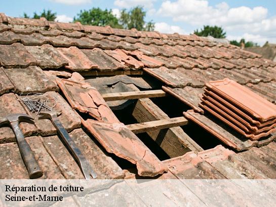 Réparation de toiture 77 Seine-et-Marne  Entreprise Desimpel 77