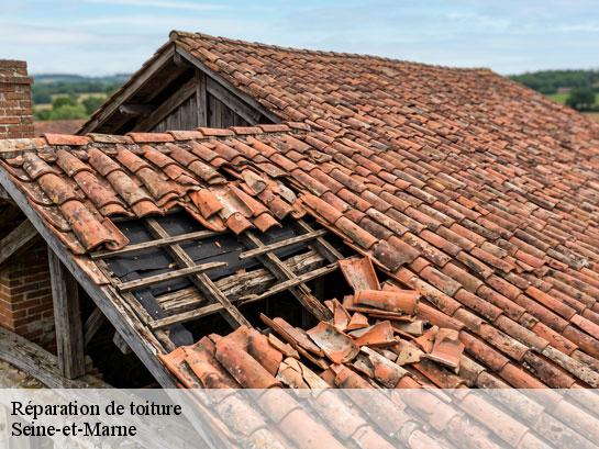 Réparation de toiture 77 Seine-et-Marne  Entreprise Desimpel 77