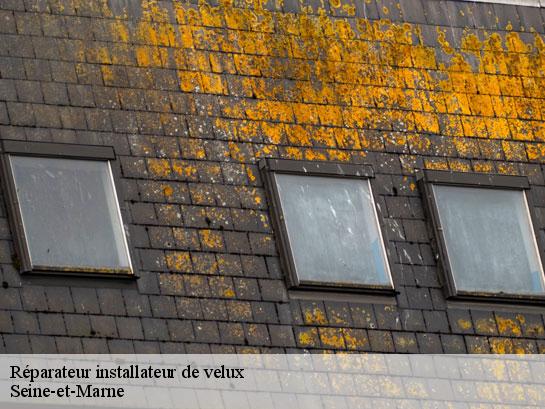 Réparateur installateur de velux 77 Seine-et-Marne  Entreprise Desimpel 77