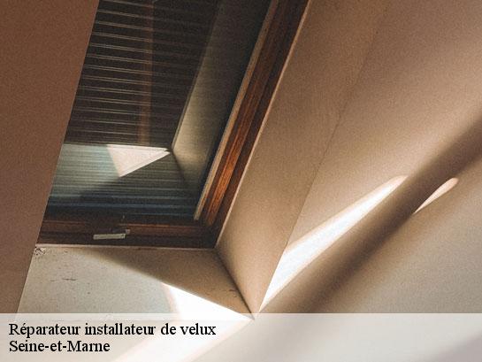 Réparateur installateur de velux 77 Seine-et-Marne  Entreprise Desimpel 77