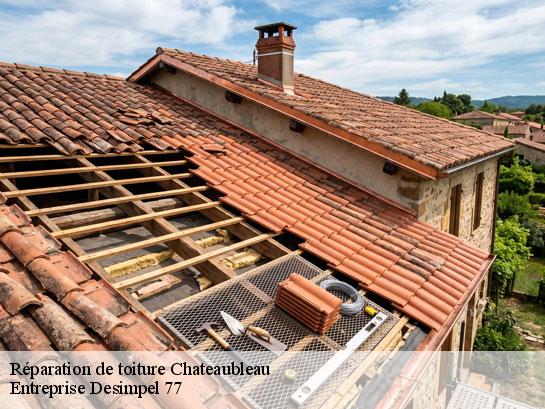 Réparation de toiture  chateaubleau-77370 Entreprise Desimpel 77
