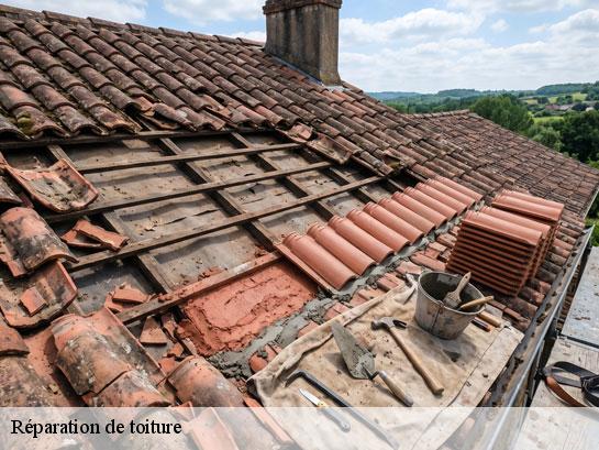 Réparation de toiture  chatillon-la-borde-77820 Entreprise Desimpel 77