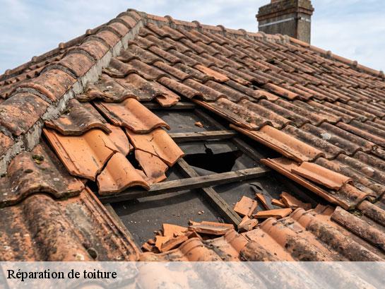 Réparation de toiture  chatillon-la-borde-77820 Entreprise Desimpel 77