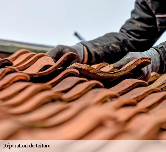 Réparation de toiture 77390