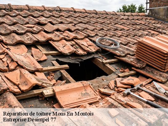 Réparation de toiture  mons-en-montois-77520 Entreprise Desimpel 77