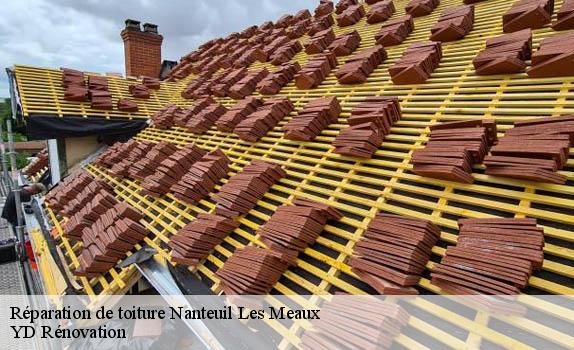 Réparation de toiture  nanteuil-les-meaux-77100 YD Rénovation