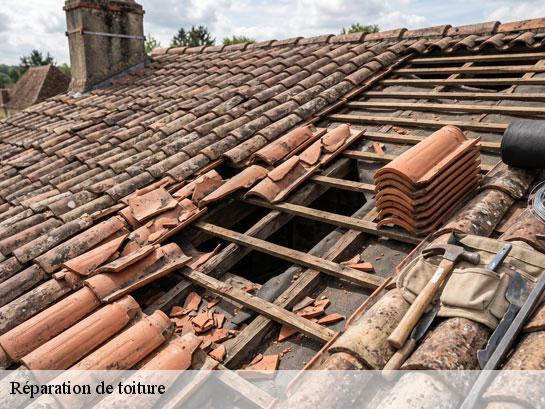 Réparation de toiture  souilly-77410 Entreprise Desimpel 77