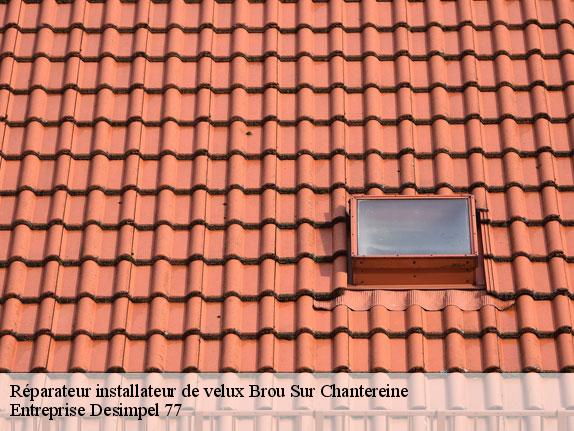 Réparateur installateur de velux  brou-sur-chantereine-77177 Entreprise Desimpel 77