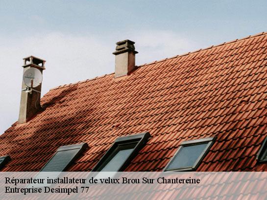 Réparateur installateur de velux  brou-sur-chantereine-77177 Entreprise Desimpel 77