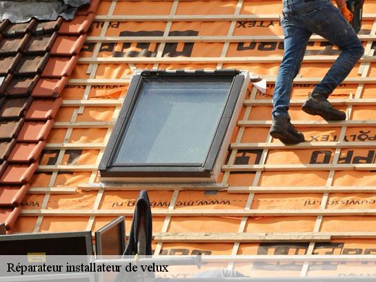 Réparateur installateur de velux  crouy-sur-ourcq-77840 Entreprise Desimpel 77